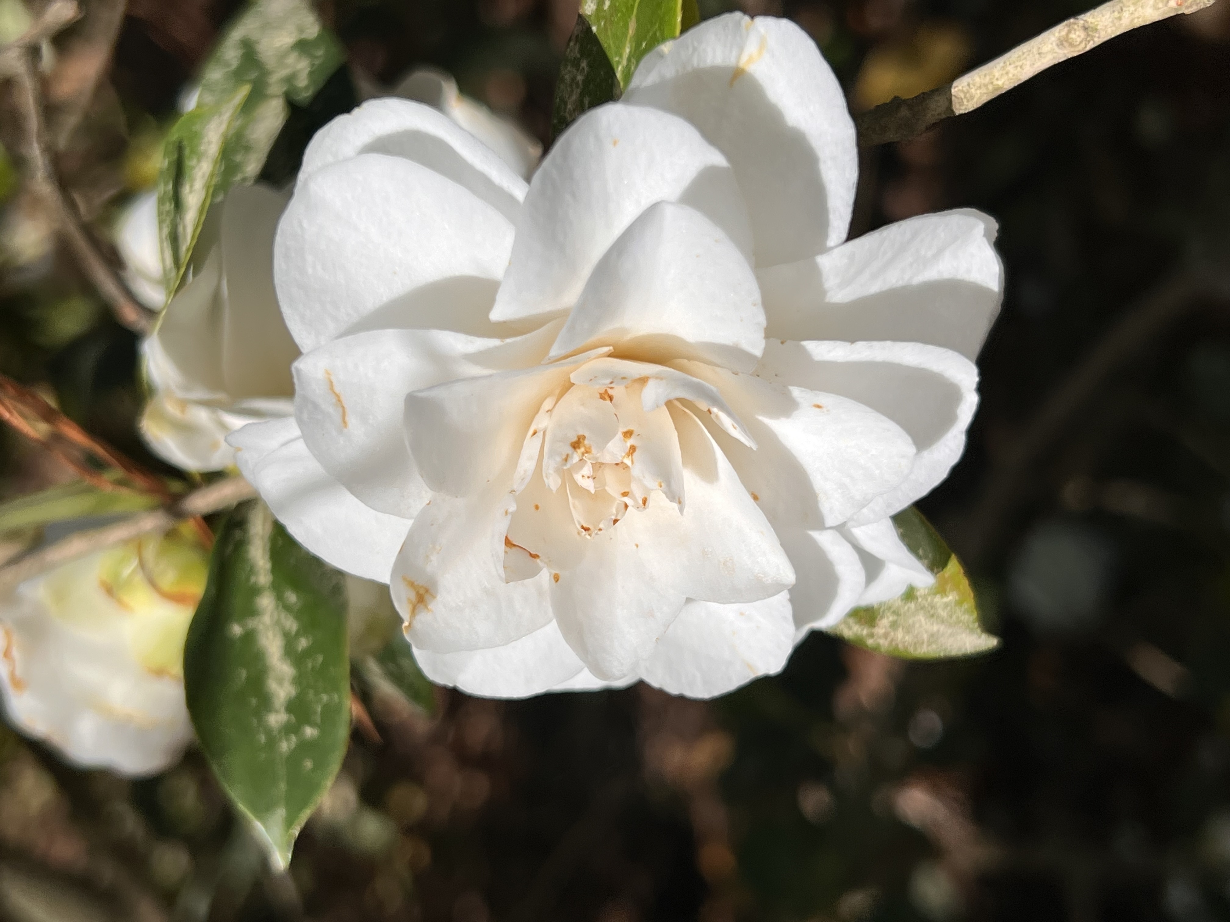 ./2023/05 - Toni Adventures/IMG_3118.JPG